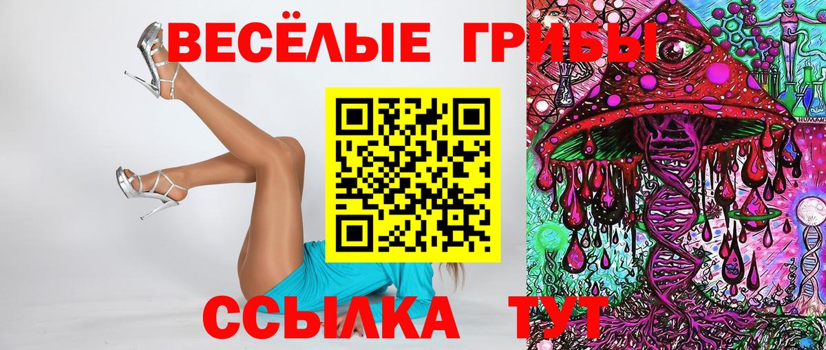 Галлюциногенные грибы GOLDEN TEACHER Краснокаменск