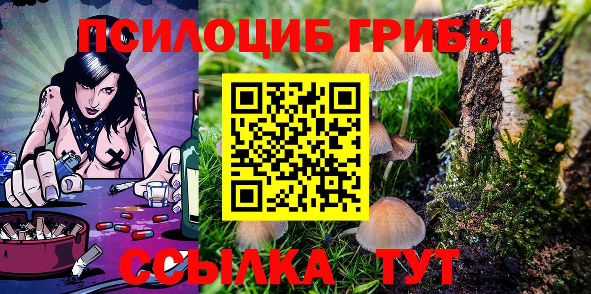 Краснокаменск  Псилоцибиновые грибы MAGIC MUSHROOMS  Вход с VPN 